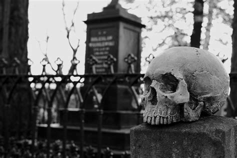 skull in graveyard